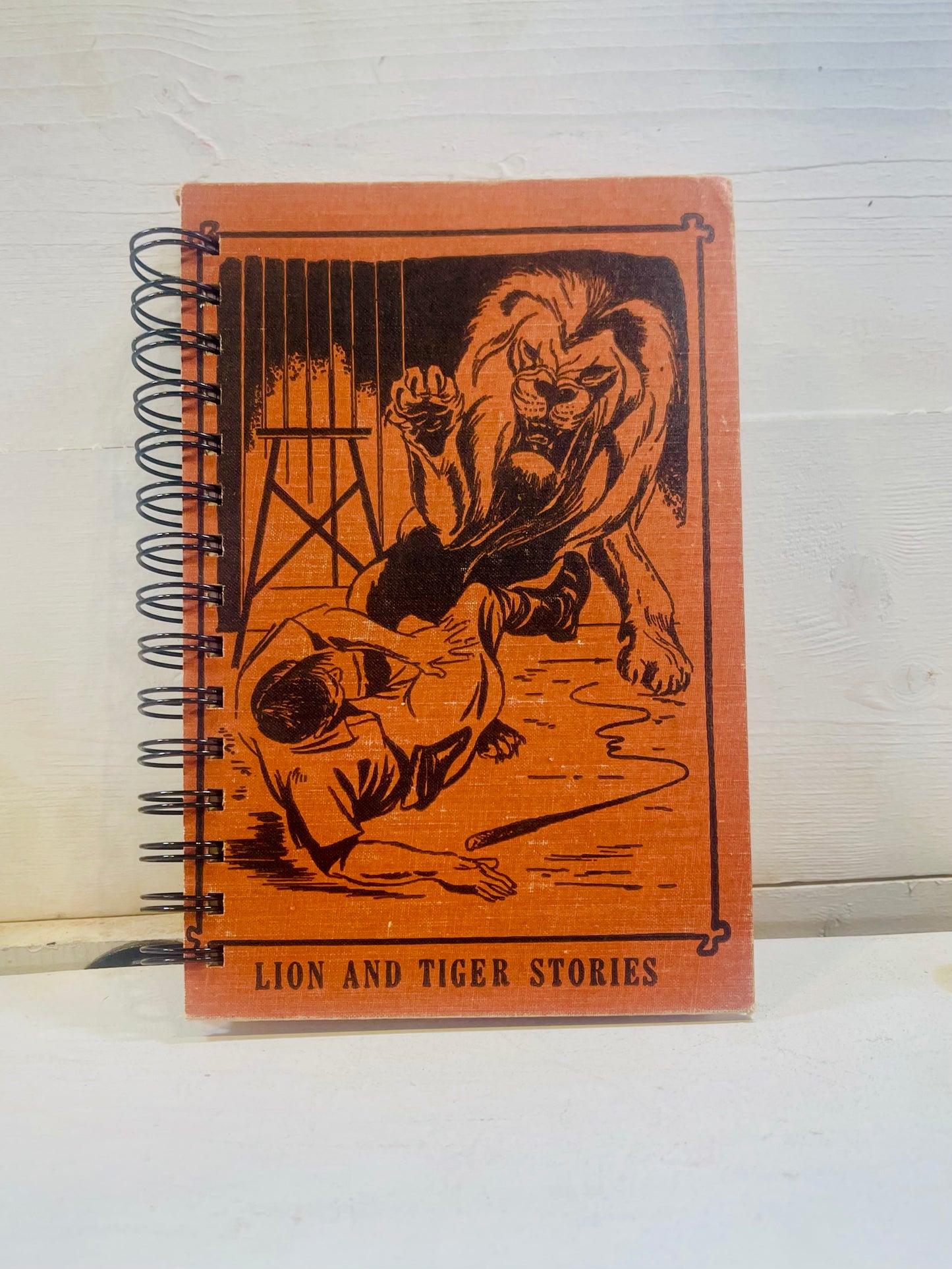 Lion and Tiger Stories
