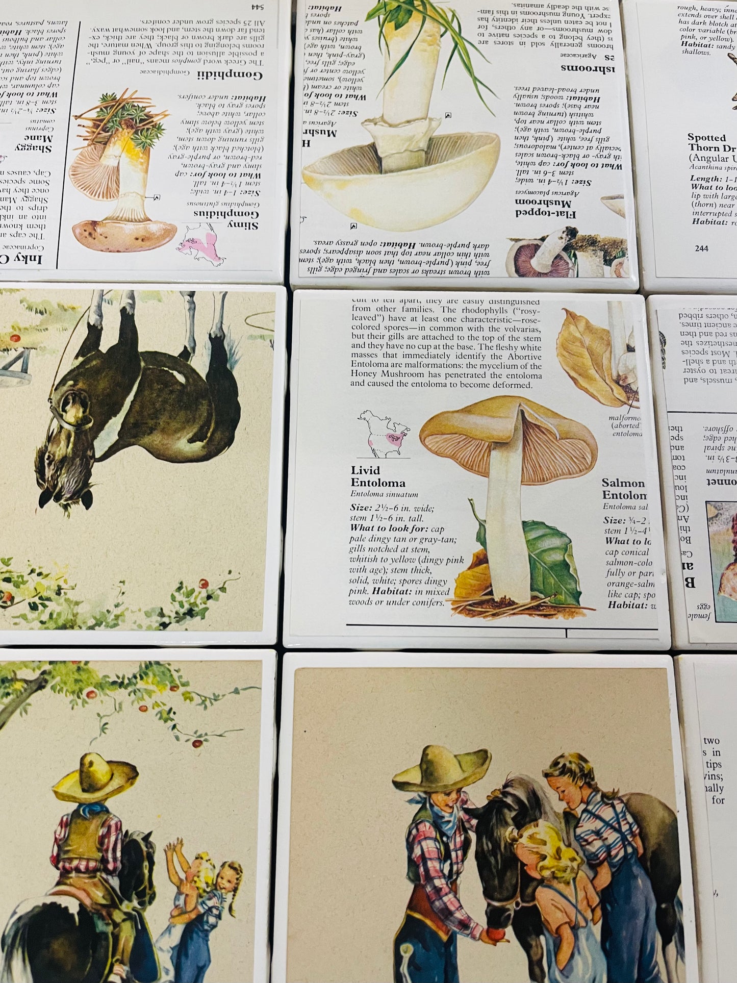 Wooden Bookmark Mushrooms