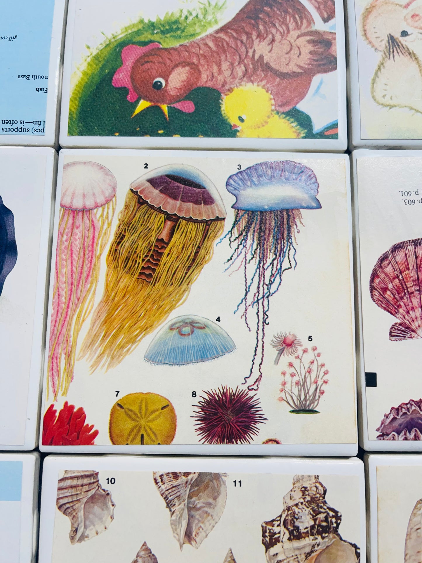 Wooden Bookmark Mushrooms