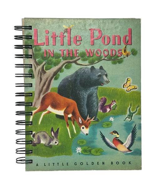 Little Pond Vintage Golden Book