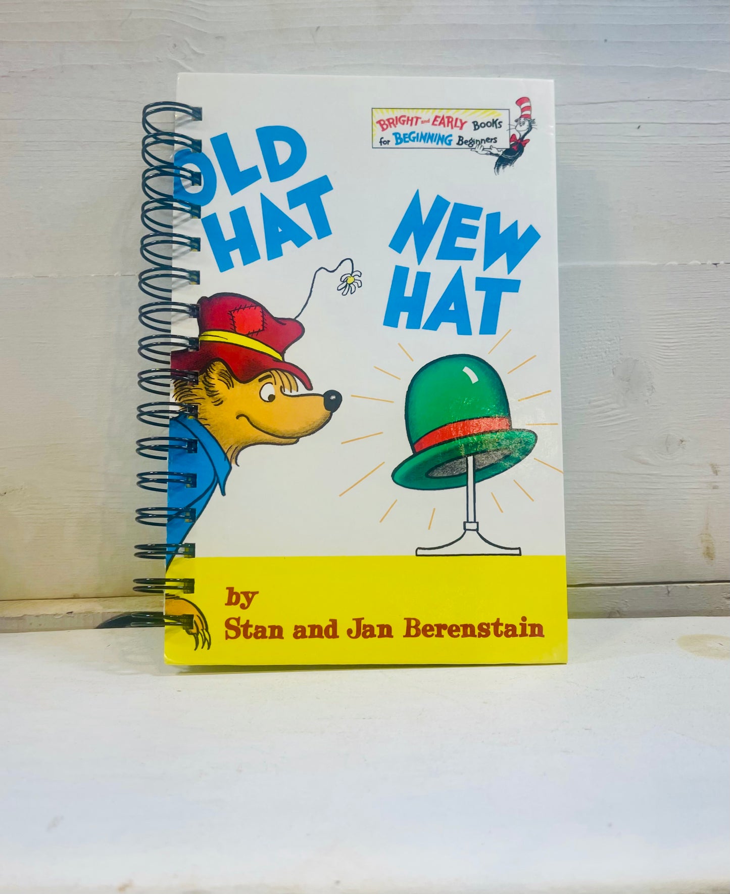 Old Hat New Hat Berenstain