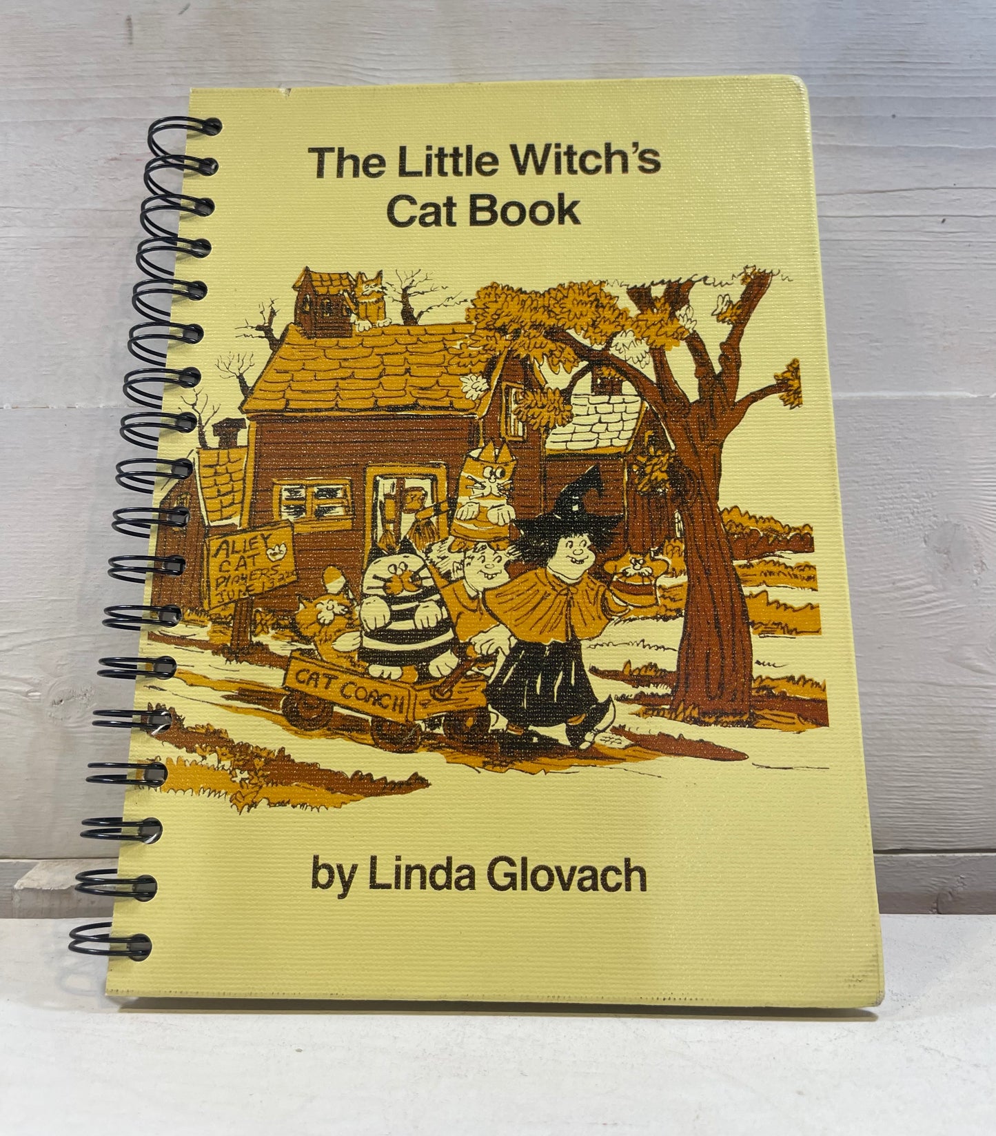 Little Witch’s Cat Book